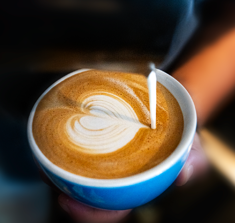 Descripción de la imagen