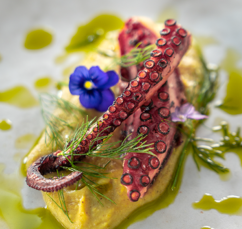 Descripción de la imagen